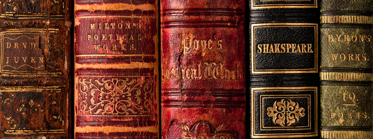 Closeup of old book spines