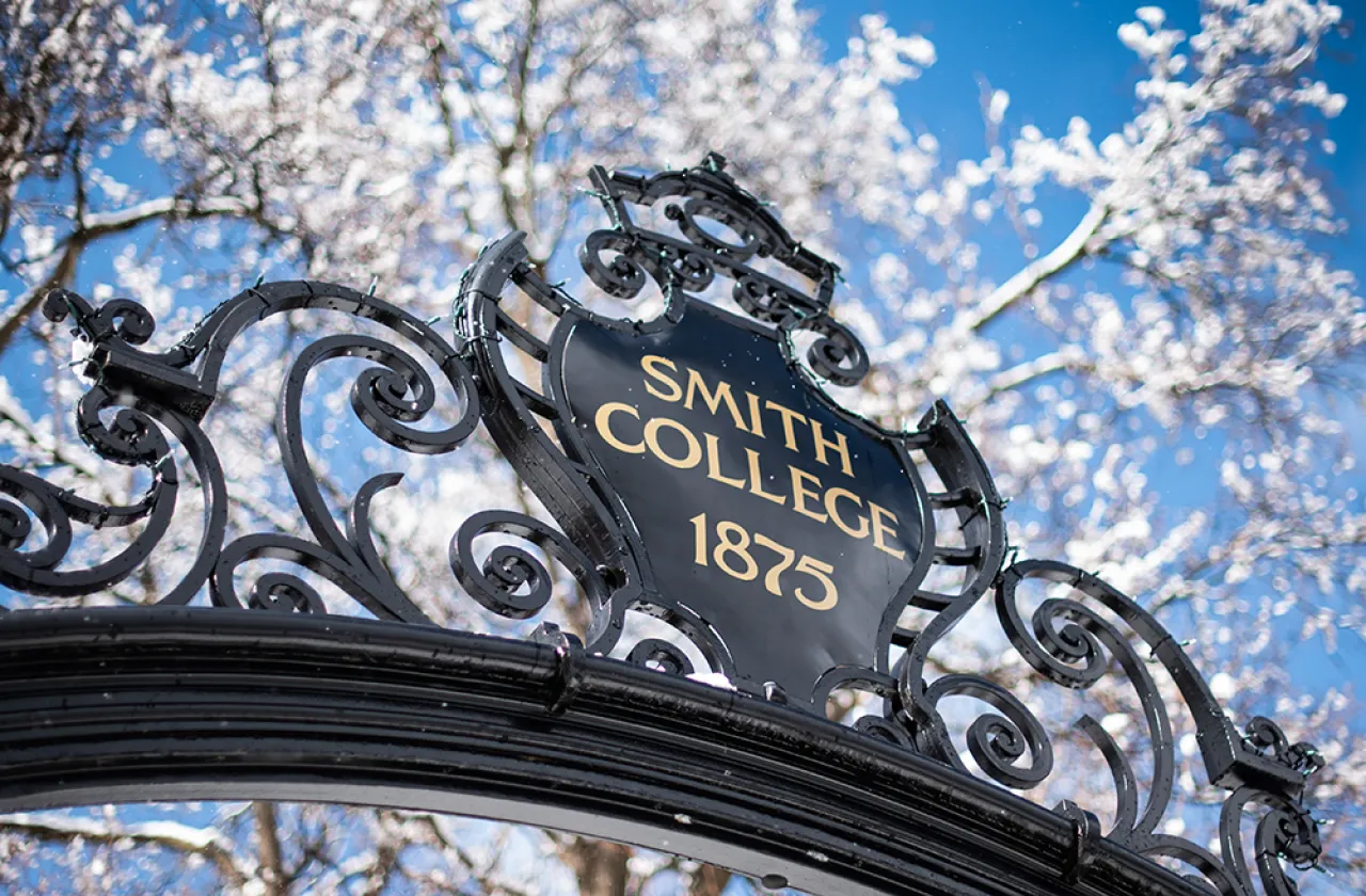 Detail of the top of the Grecourt Gates in the winter