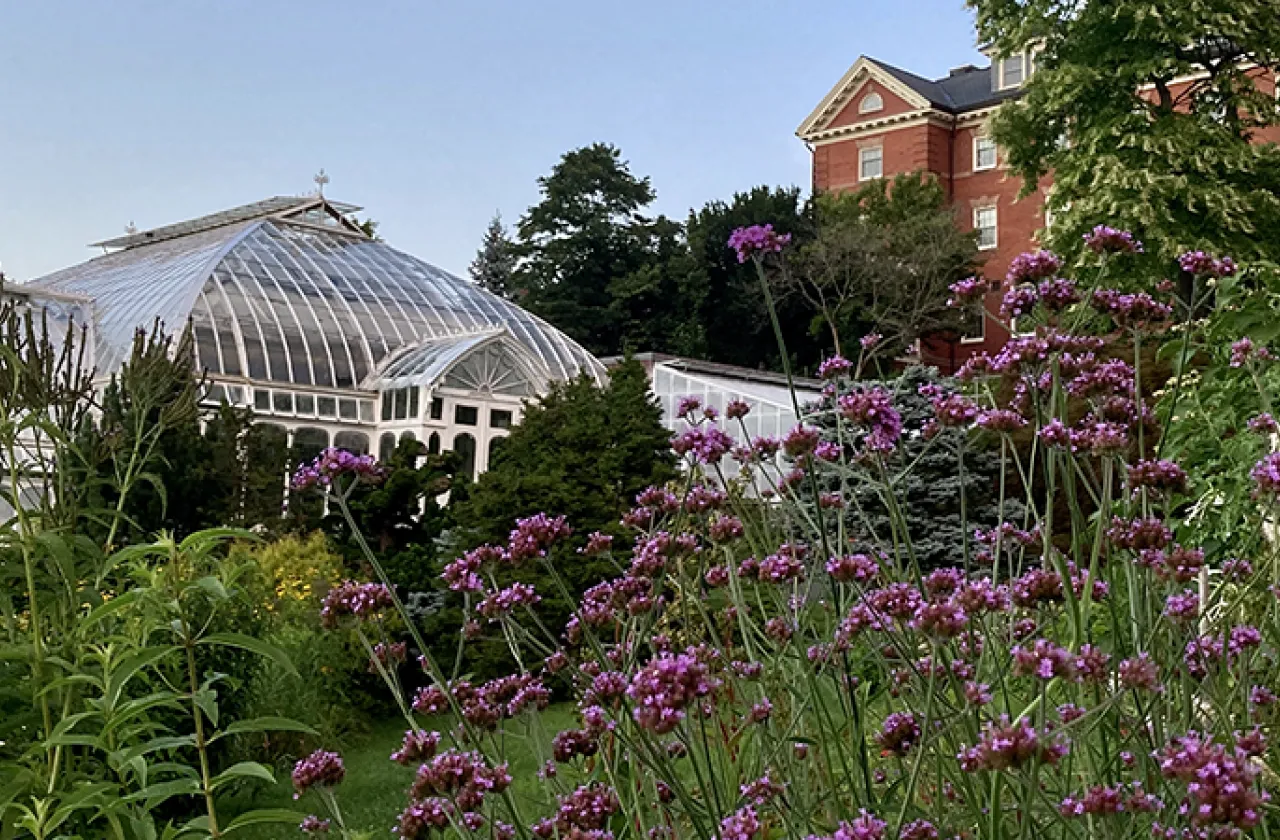A photo of the Botanic Gardens in the summertime