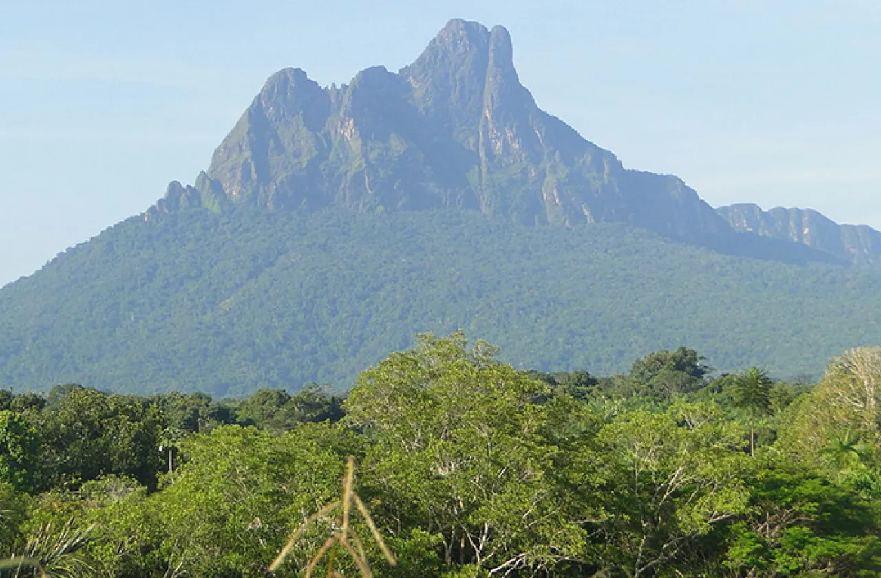 Liana Amin Lima, CC BY-SA 3.0, via Wikimedia Commons