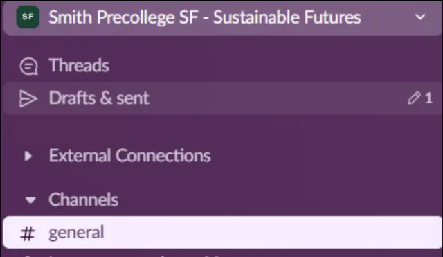 A screenshot of Slack, with the private channel for Sustainable Futures highlighted.