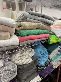 Towels at Common Goods.