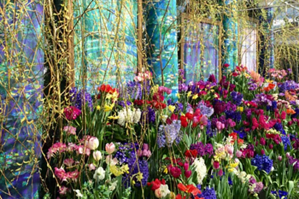 bulb show 2015 "A French Impression"