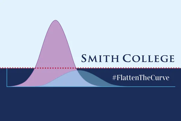 Graph with two curves, one a tall, skinny peak, the other low and long