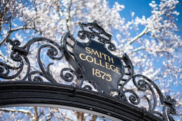 Detail of the top of the Grecourt Gates in the winter