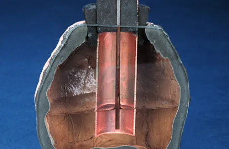 Cross-section of an ancient battery with visible inner components and a pink substance