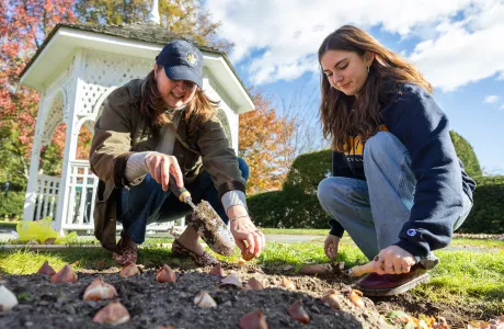 Two people plant garlic with CEEDS as part of Family Weekend.