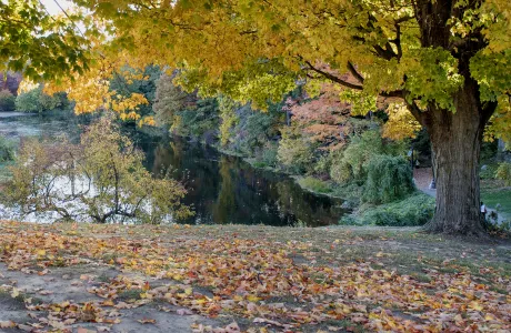 Photo of Paradise Pond