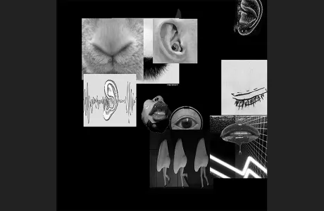 Generative animation of black and white images by Betty Wang ’23 