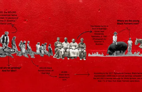 Digital drawing of Black Farmers by Storm Lewis '21