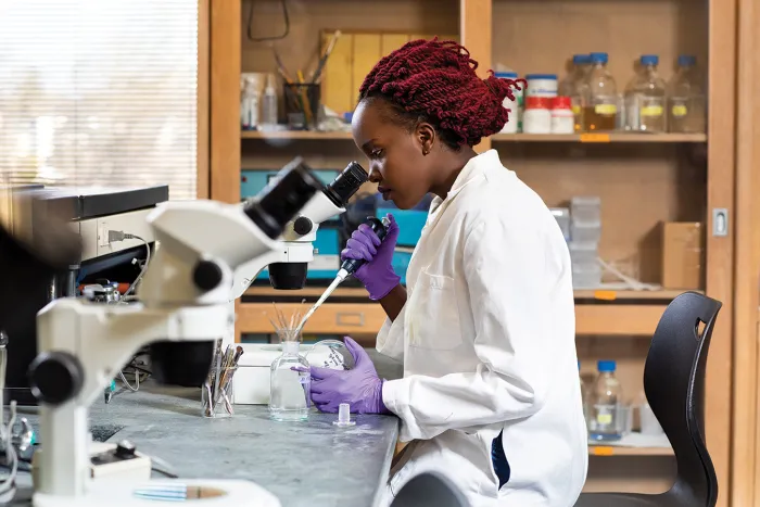 A student looking through a microscope in the lab.