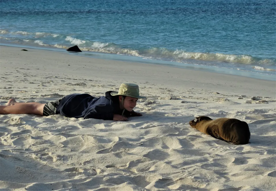 A person lying in the sand looking at a seal