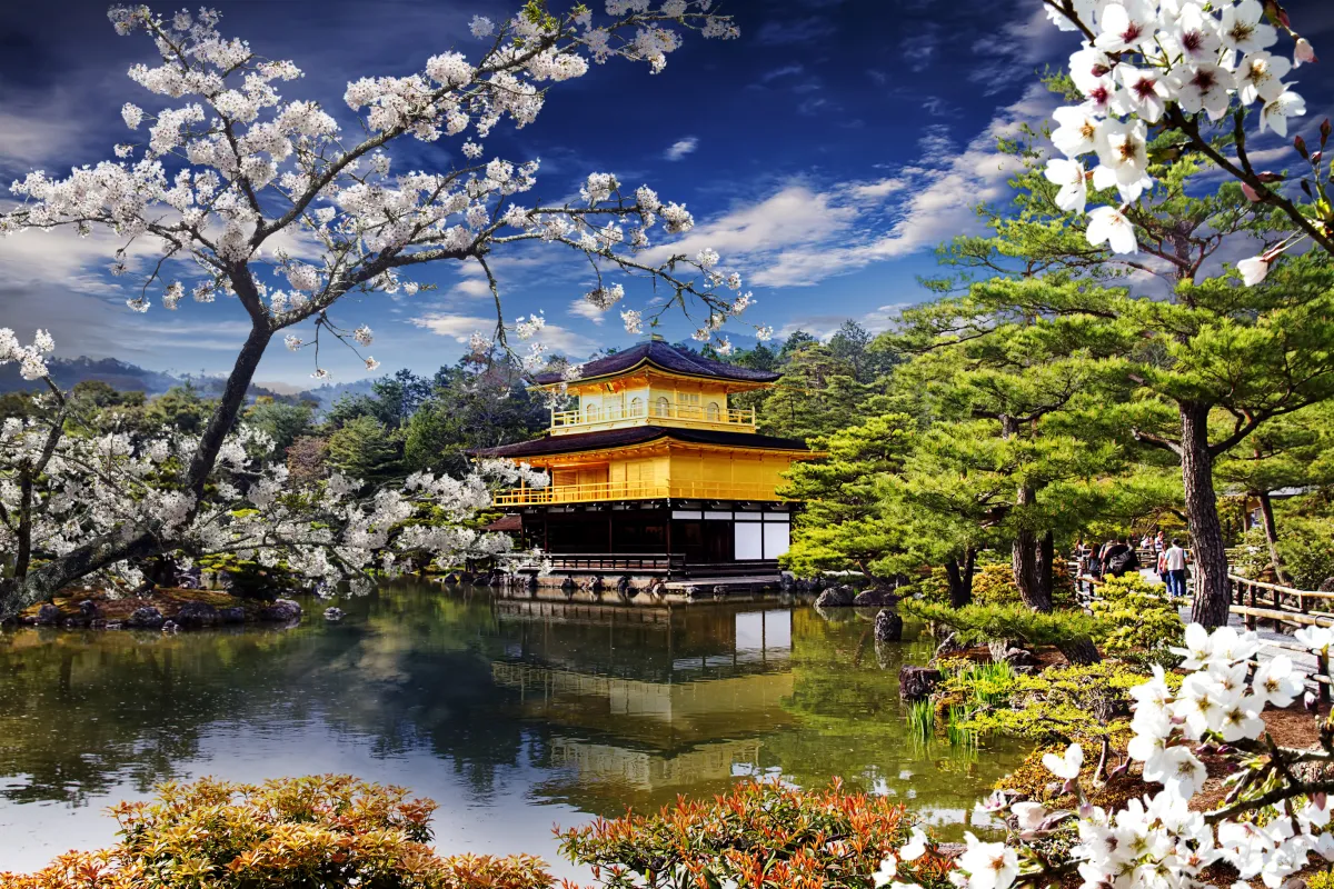 A temple in Japan, with cherry blossoms framing the photo