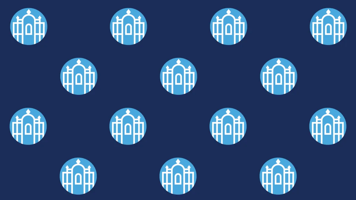 Zoom photo - informal seal on paradise background