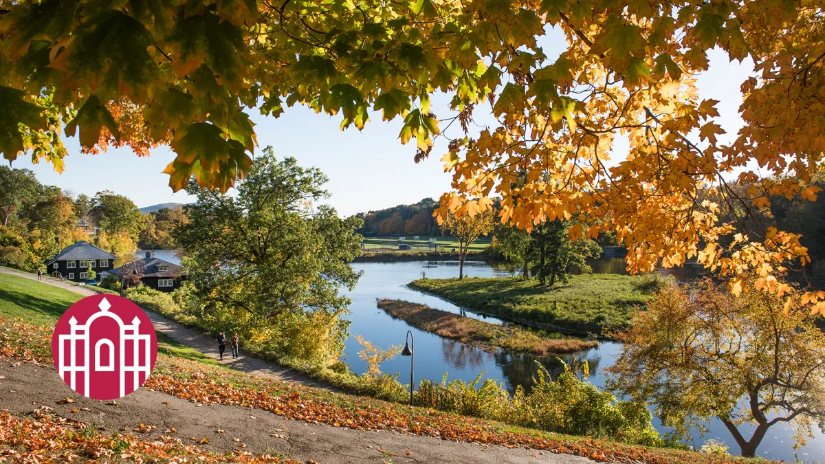 Photo of Paradise Pond