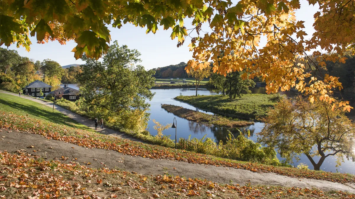 Photo of Paradise Pond