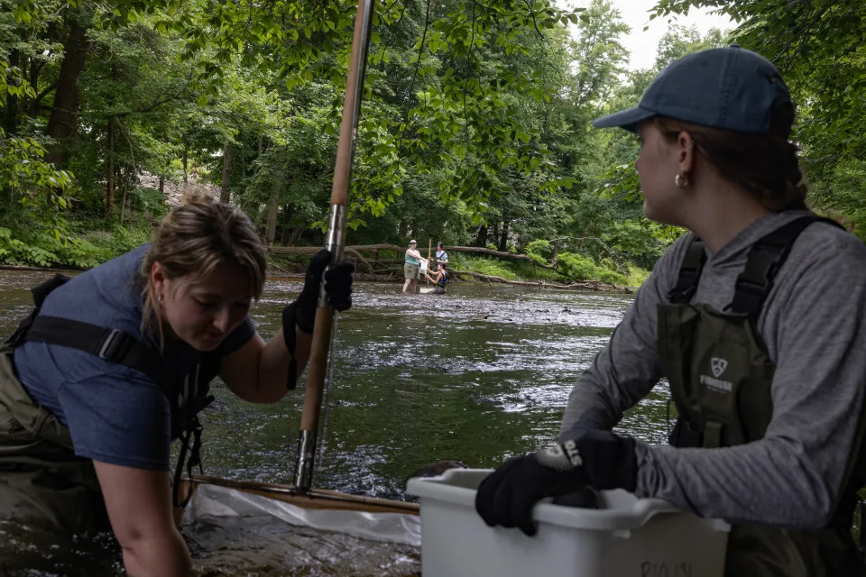 Two SURF students working in the Mill River in green waders turn to look at others in the distance