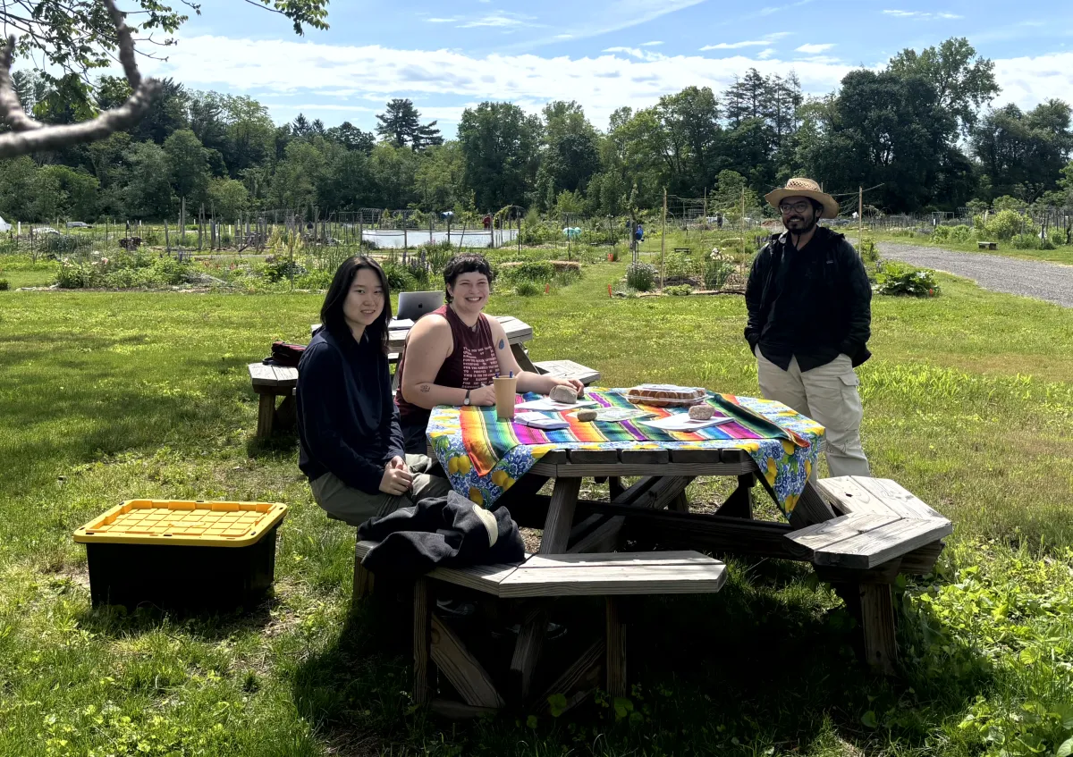 Efadul Huq and two research assistants sit at a table in a field.